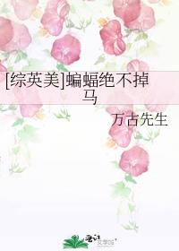 [综英美]蝙蝠绝不掉马
